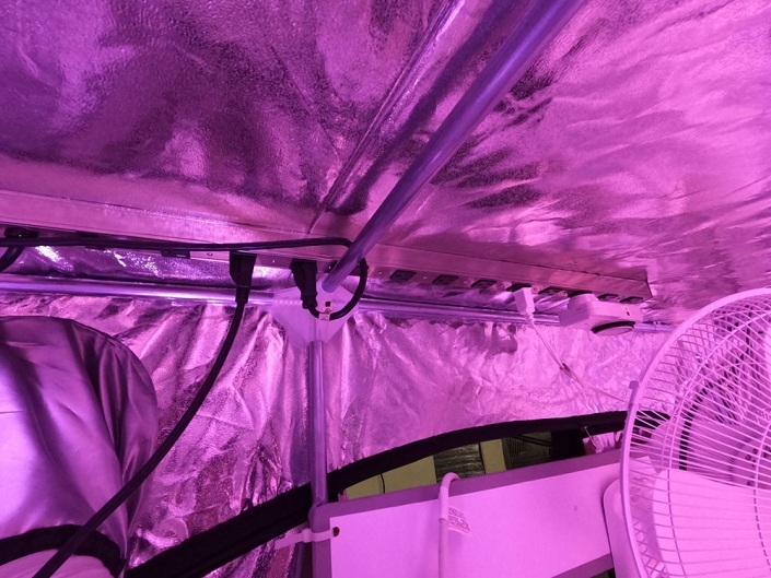 Large-36-inch-and-48-inch-surge-strips